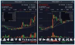 如何在中国下载Tokenim：详