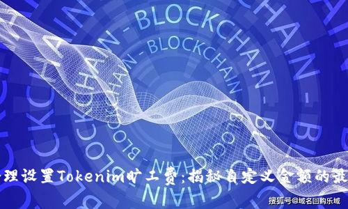 如何合理设置Tokenim旷工费：揭秘自定义金额的最佳实践