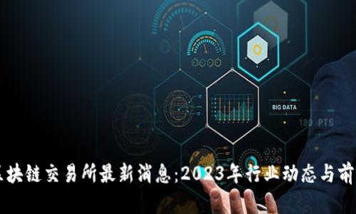 荷兰区块链交易所最新消息：2023年行业动态与前景分析