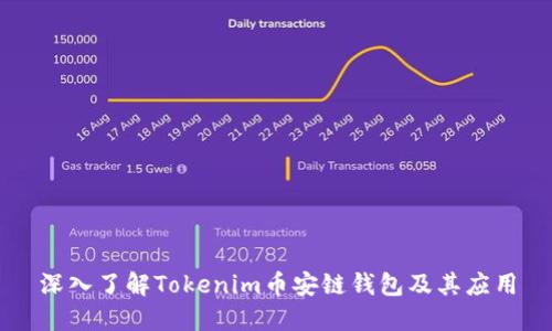 深入了解Tokenim币安链钱包及其应用