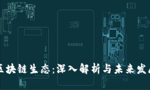 币圈区块链生态：深入解析与未来发展趋势