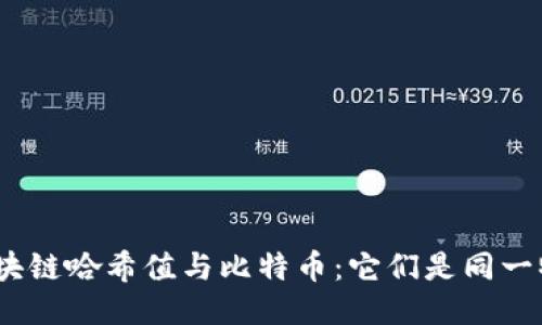 : 区块链哈希值与比特币：它们是同一物吗？