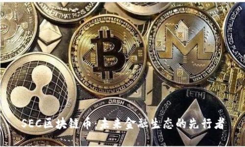 SEC区块链币：未来金融生态的先行者