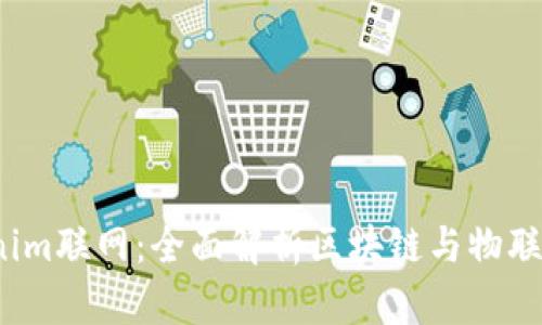 2023年Tokenim联网：全面解析区块链与物联网的未来交汇