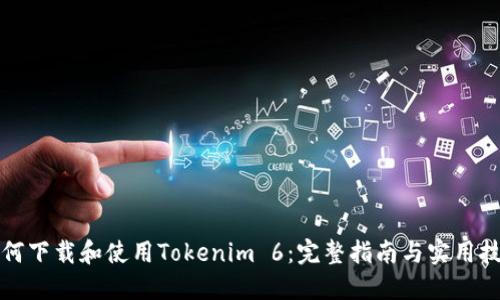 如何下载和使用Tokenim 6：完整指南与实用技巧