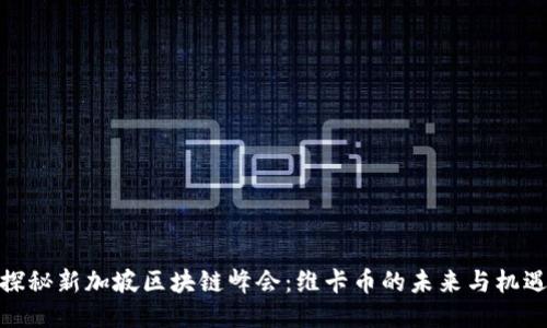 探秘新加坡区块链峰会：维卡币的未来与机遇