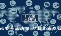 深入了解比特币区块链：