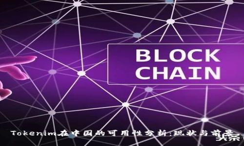 Tokenim在中国的可用性分析：现状与前景