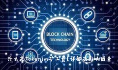 什么是Tokenim矿工费？详解