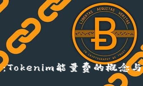 深入解析：Tokenim能量费的概念与未来趋势