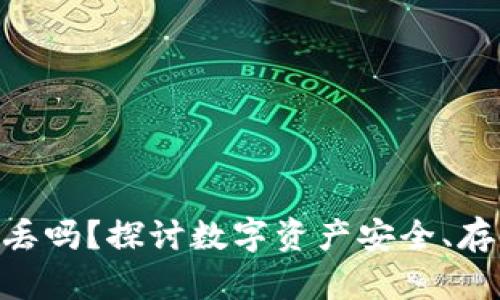 Tokenim里的钱会丢吗？探讨数字资产安全、存储方式及风险管理