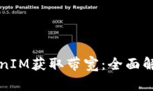 如何通过TokenIM获取带宽：全面解析与实践指南