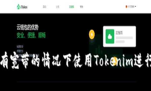 如何在没有宽带的情况下使用Tokenim进行安全交易