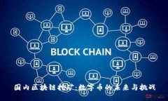 国内区块链挖矿：数字币