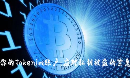 保护你的Tokenim账户：应对私钥被盗的紧急指南