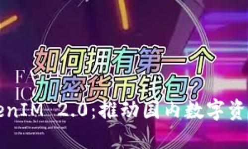 深入探讨TokenIM 2.0：推动国内数字资产管理的未来