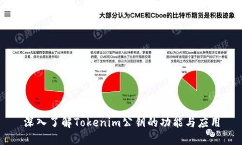深入了解Tokenim公钥的功能与应用
