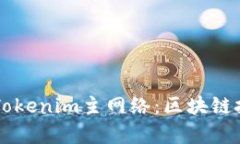 深入解析Tokenim主网络：区