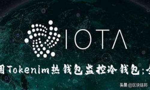 如何使用Tokenim热钱包监控冷钱包：全面指南