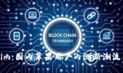 揭秘Tokenim：国内苹果用户