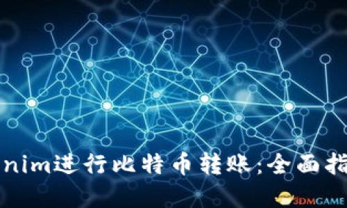 如何使用Tokenim进行比特币转账：全面指南与实用技巧