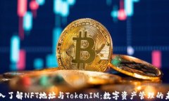 深入了解NFT地址与TokenIM：