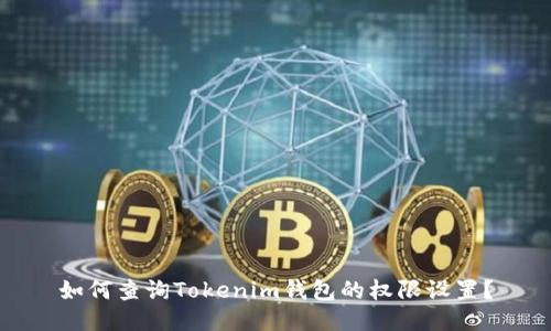 如何查询Tokenim钱包的权限设置？