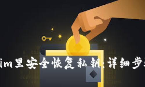 如何在Tokenim里安全恢复私钥：详细步骤与注意事项