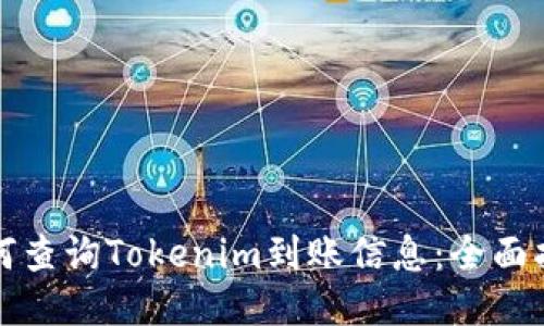 如何查询Tokenim到账信息：全面指南
