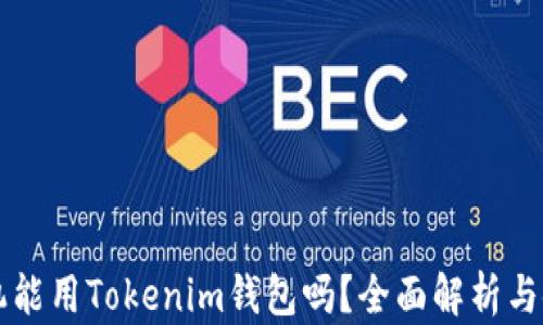 
苹果手机能用Tokenim钱包吗？全面解析与使用指南