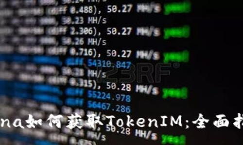 :
Luna如何获取TokenIM：全面指南