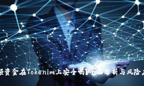 大额资金在Tokenim上安全吗？全面分析与风险应对
