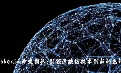 Tokenim开发团队：引领区块链技术创新的先锋