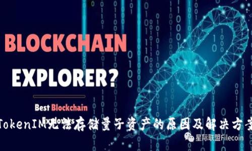 TokenIM无法存储量子资产的原因及解决方案