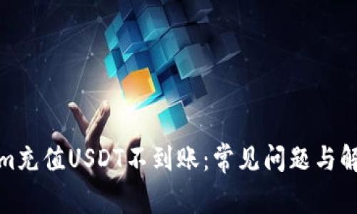 Tokenim充值USDT不到账：常见问题与解决方案