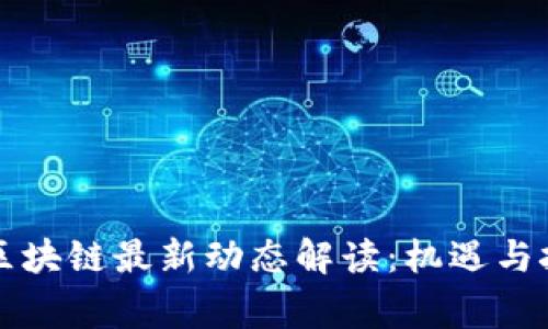 柬埔寨区块链最新动态解读：机遇与挑战并存