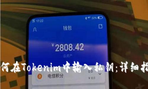 如何在Tokenim中输入私钥：详细指南