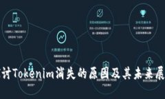 探讨Tokenim消失的原因及其