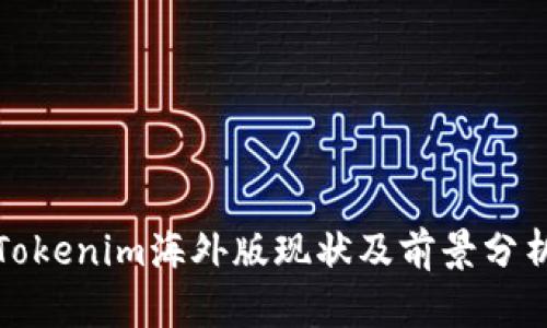 Tokenim海外版现状及前景分析