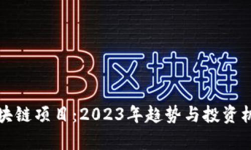 最新区块链项目：2023年趋势与投资机会分析