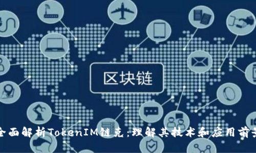 全面解析TokenIM链克：理解其技术和应用前景