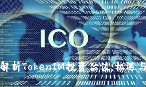 深入解析TokenIM投资估值：机遇与风险