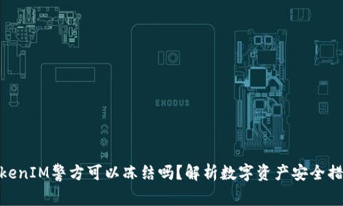 TokenIM警方可以冻结吗？解析数字资产安全措施