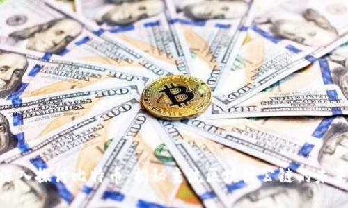 diaoti深入探讨比特币：揭秘主流区块链公链的未来与应用