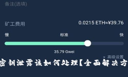 Tokenim钱包密钥泄露该如何处理？全面解决方案与预防措施