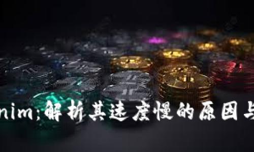 Tokenim：解析其速度慢的原因与方案
